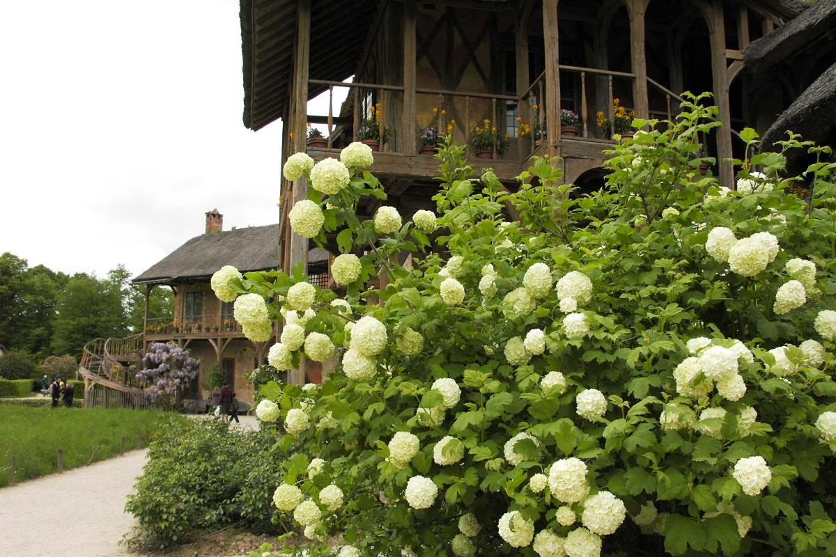 pict0639.jpg