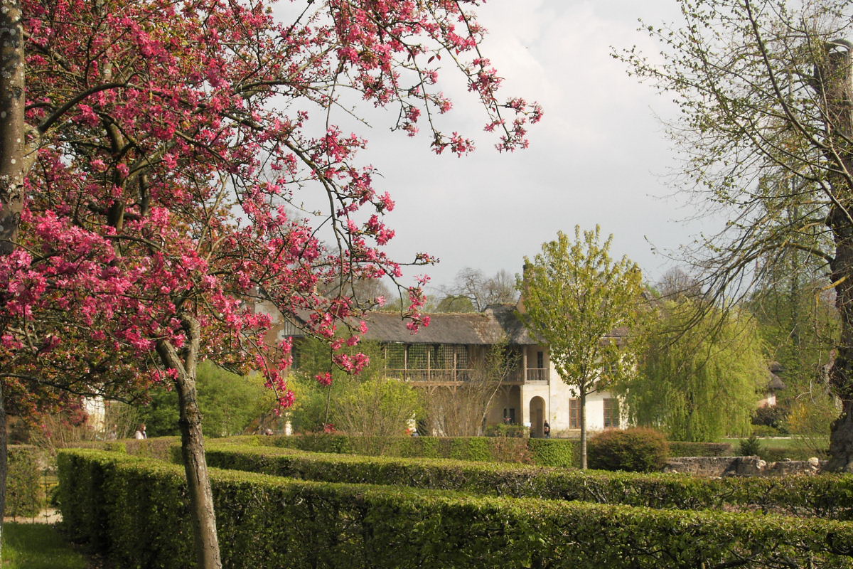 pict1884.jpg