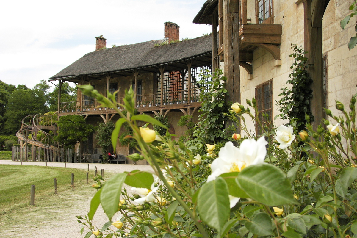 pict2115.jpg
