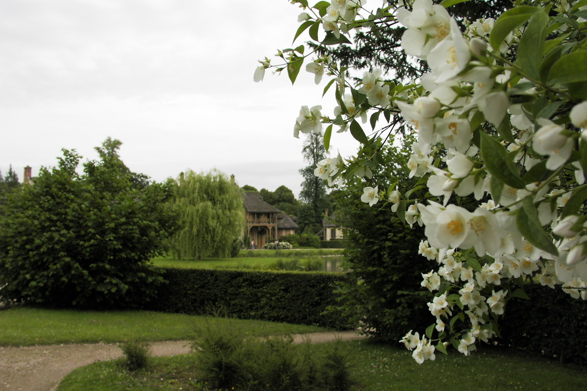 pict2163.jpg