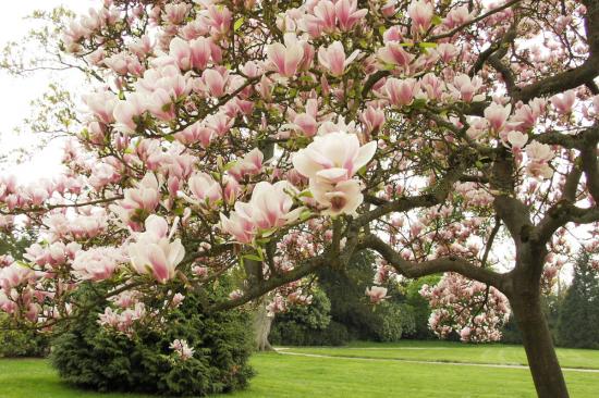 Pict0555.jpg